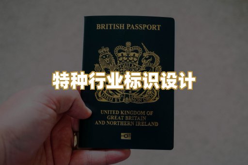 企业营业执照美术设计